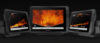 As the first real-time scanning sonar for recreational fishing